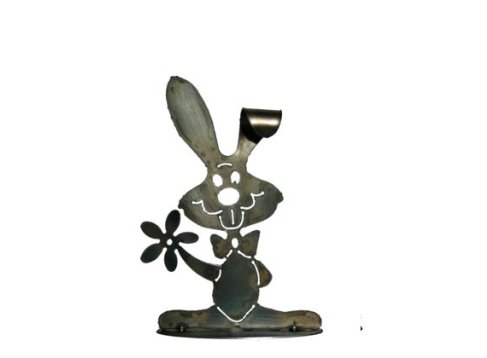 Hase 